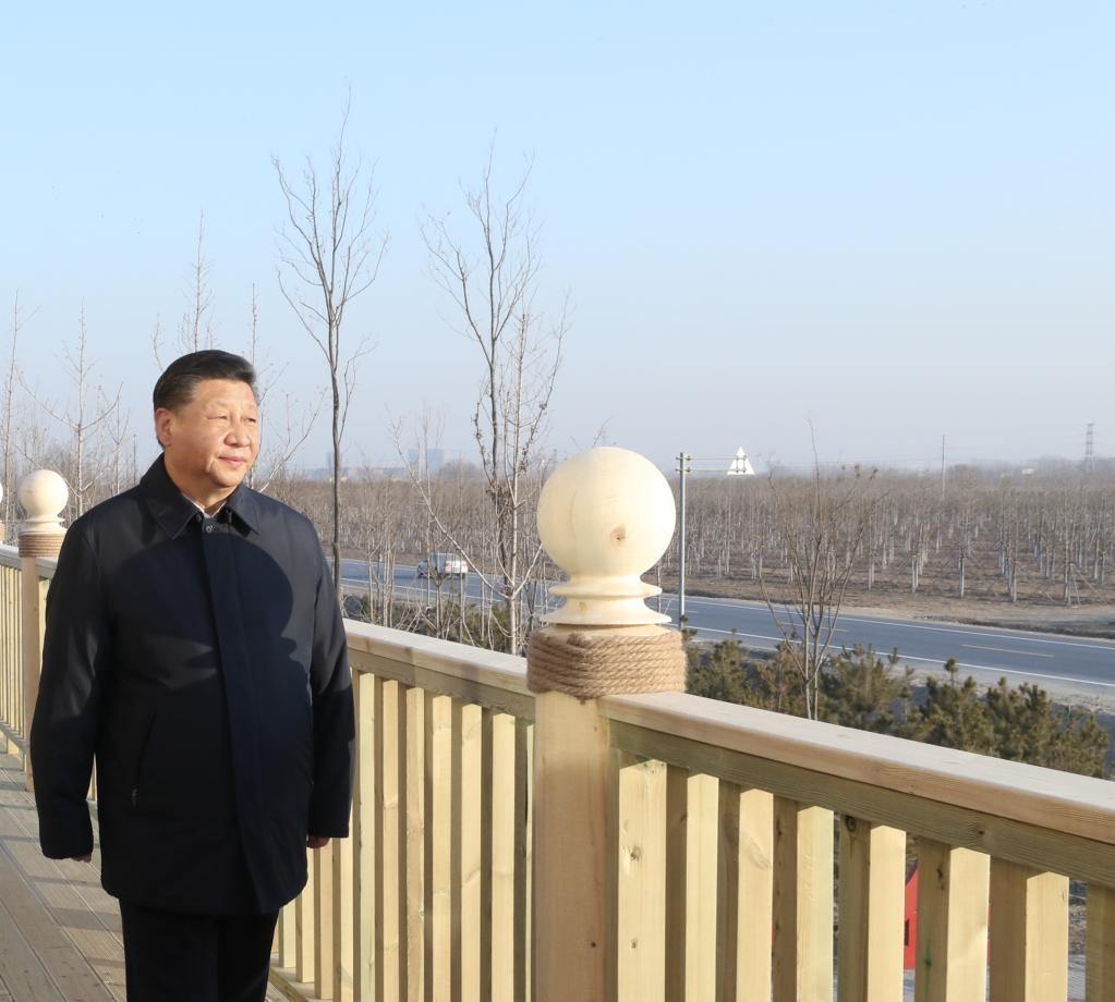 2019年1月16日，在河北雄安新區(qū)“千年秀林”大清河片林一區(qū)造林區(qū)域，習(xí)近平總書記登上秀林驛站二層平臺遠(yuǎn)眺林區(qū)全貌。新華社記者 鞠鵬 攝