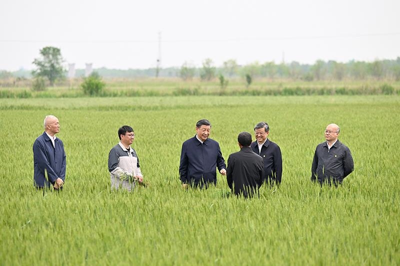 △2023年5月11日，習(xí)近平總書記在河北滄州黃驊市舊城鎮(zhèn)仙莊片區(qū)旱堿地麥田同種植戶、農(nóng)技專家親切交流。