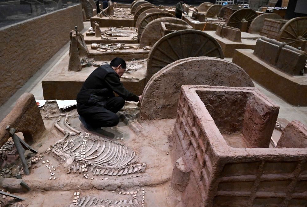 工作人員在殷墟博物館新館的展廳內(nèi)修復(fù)車(chē)馬遺跡（2月23日攝）。