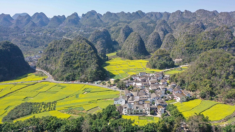 2024年2月17日，貴州省興義市萬峰林景區(qū)的油菜花海景色（無人機(jī)照片）。