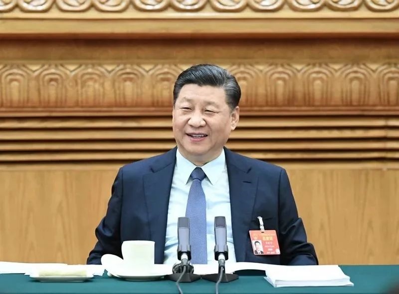 2019年3月8日，習近平參加十三屆全國人大二次會議河南代表團的審議。新華社記者 謝環(huán)馳 攝