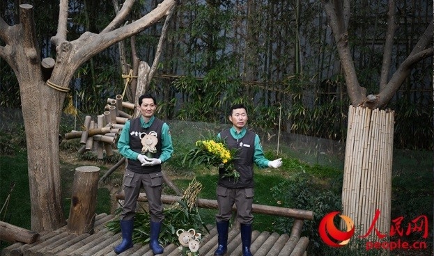 熊貓飼養(yǎng)員姜哲遠(yuǎn)和宋永寬向媒體介紹為“福寶”準(zhǔn)備的送別禮物。人民網(wǎng) 李帆攝