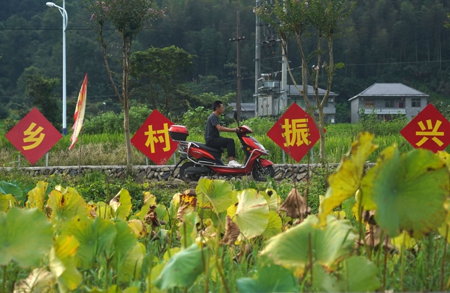 2023年8月24日拍攝的江西省靖安縣璪都鎮(zhèn)港背村一景。該村在當(dāng)?shù)卣С窒?，修古建，建民宿，搞開發(fā)，引進(jìn)竹筏漂流、觀光采摘、農(nóng)耕體驗(yàn)、森林研學(xué)等多種旅游業(yè)態(tài)，建成新田園生態(tài)度假小鎮(zhèn)，發(fā)展鄉(xiāng)村旅游，走上致富路。