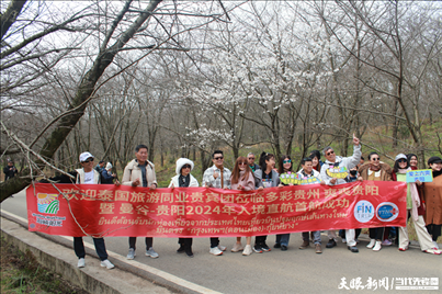 首個泰國入境旅游團打卡貴安櫻花園。
