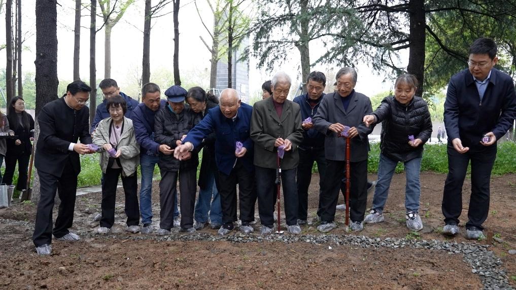 南京大屠殺幸存者代表、死難者遺屬代表等在紀(jì)念館的和平公園里，播撒下紫金草的種子。新華社記者林凱 攝