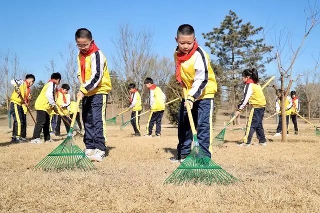 △2024年3月12日，北京城市綠心森林公園，參加植樹節(jié)主題活動的學(xué)生們學(xué)習(xí)義務(wù)植樹知識，并進(jìn)行現(xiàn)場撫育管護(hù)。