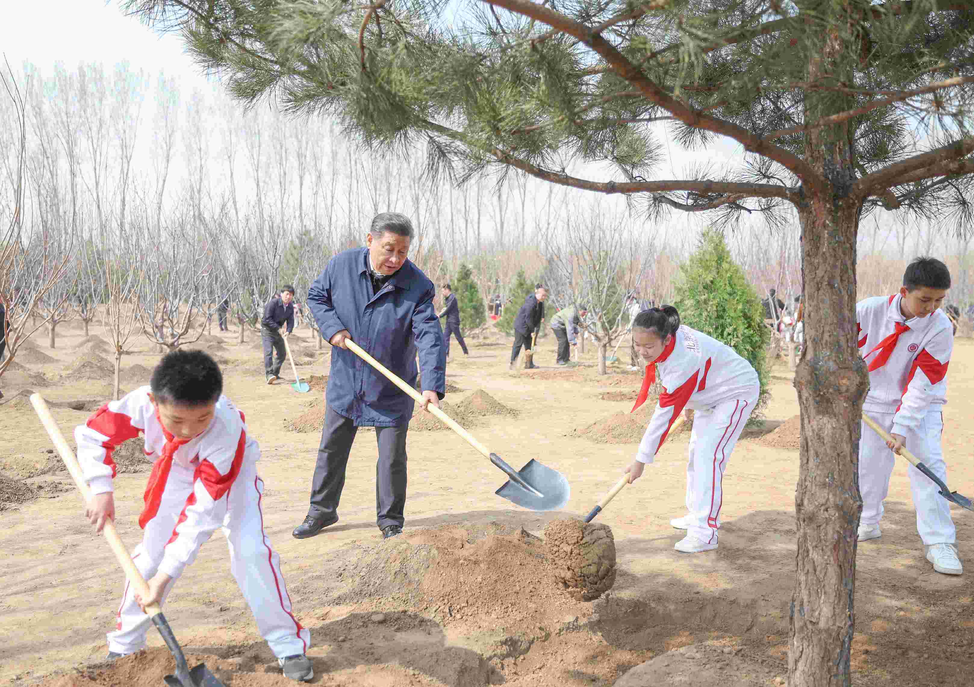 2024年4月3日，習(xí)近平總書記來到北京市通州區(qū)潞城鎮(zhèn)參加首都義務(wù)植樹活動。