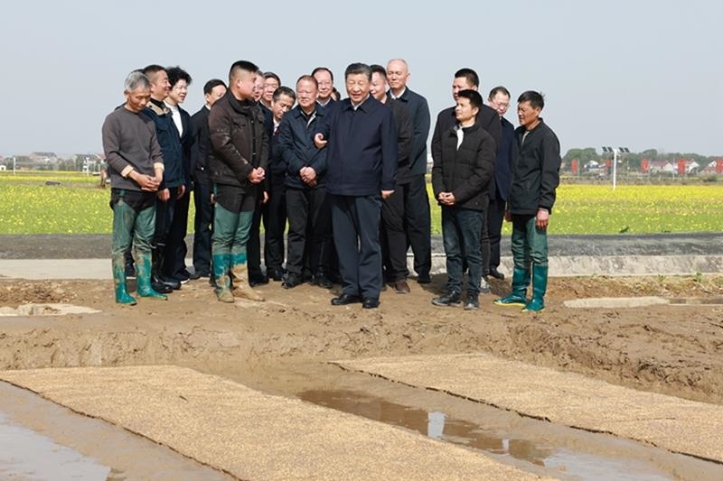 △2024年3月19日，在湖南常德市鼎城區(qū)謝家鋪鎮(zhèn)港中坪村，習近平總書記走進田間，察看秧苗培育和春耕備耕進展。