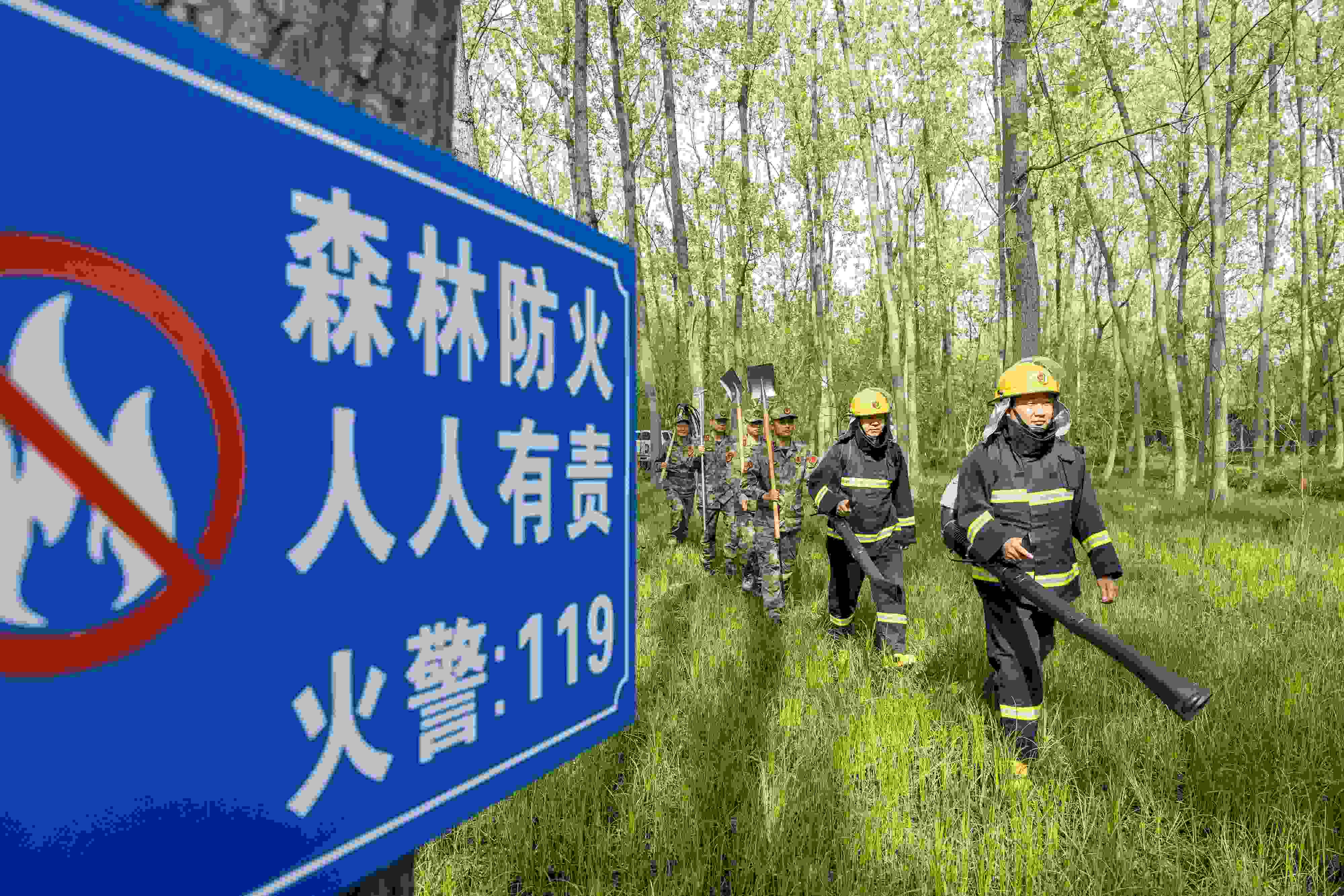 2024年4月9日，合肥市大房郢水庫(kù)水源保護(hù)地廬陽(yáng)經(jīng)濟(jì)開(kāi)發(fā)區(qū)段，基干民兵正在林間巡查火災(zāi)隱患。