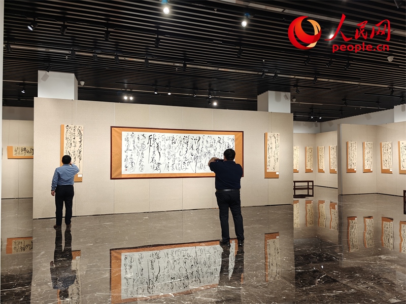 觀眾正在參觀展覽。人民網(wǎng)記者 韋衍行攝
