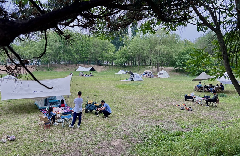 “自駕+露營”等多元模式受熱捧。人民網(wǎng)記者 王連香攝