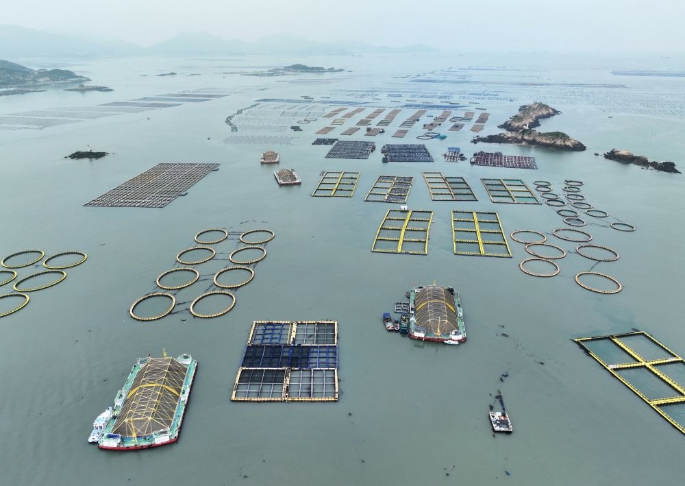 在福建連江定海灣海域，坐落著“定海灣1號(hào)”“定海灣2號(hào)”等深遠(yuǎn)海養(yǎng)殖平臺(tái)（2024年5月7日攝，無人機(jī)照片）。新華社記者 林善傳 攝