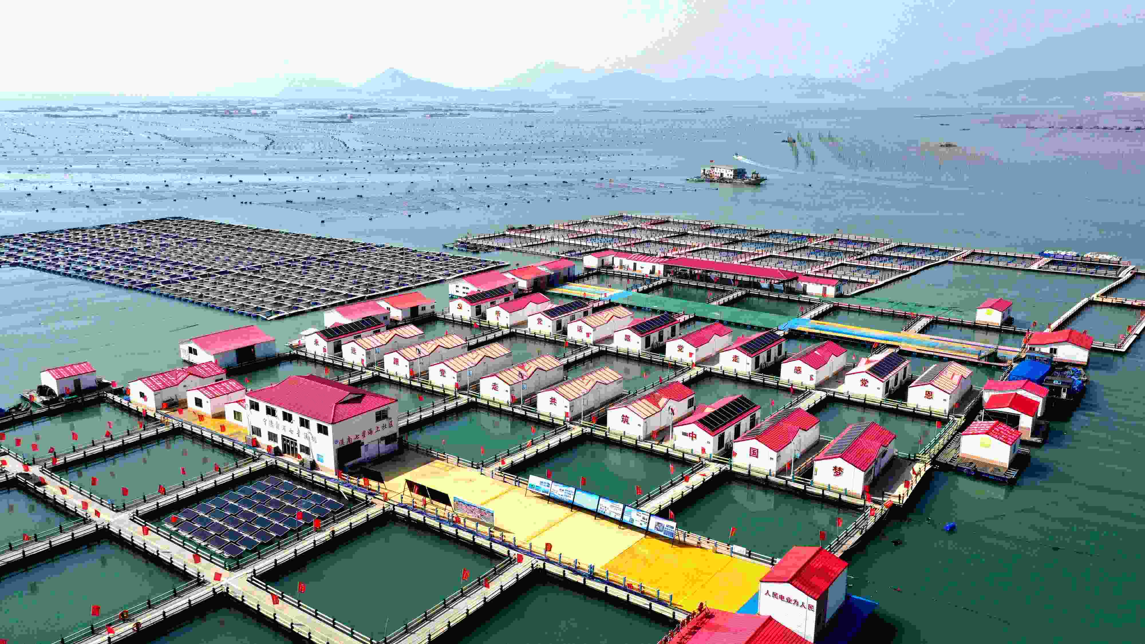 2024年3月20日，福建省寧德市，霞浦縣溪南鎮(zhèn)七星村漁排養(yǎng)殖示范區(qū)，漁民駕駛養(yǎng)殖船進(jìn)行海參養(yǎng)殖作業(yè)。