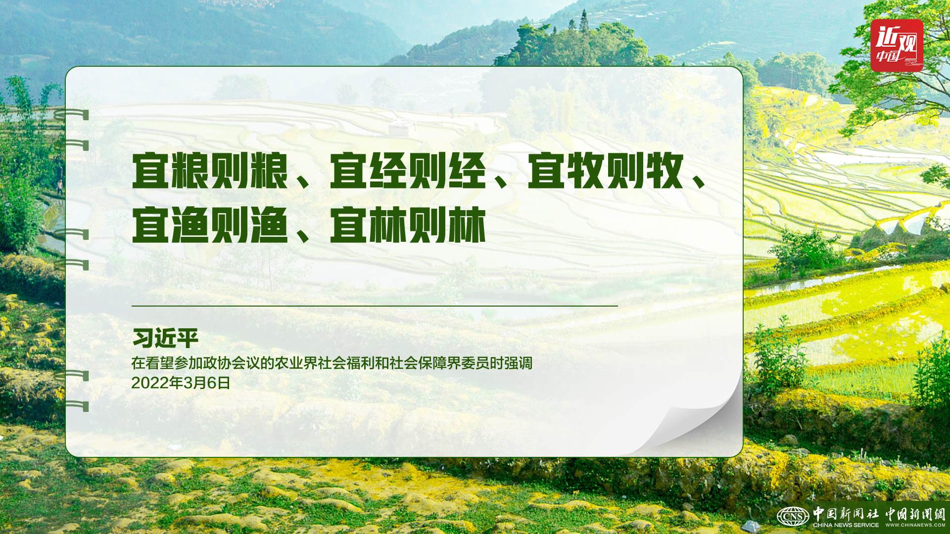 習(xí)近平：樹(shù)立大食物觀，構(gòu)建多元化食物供給體系