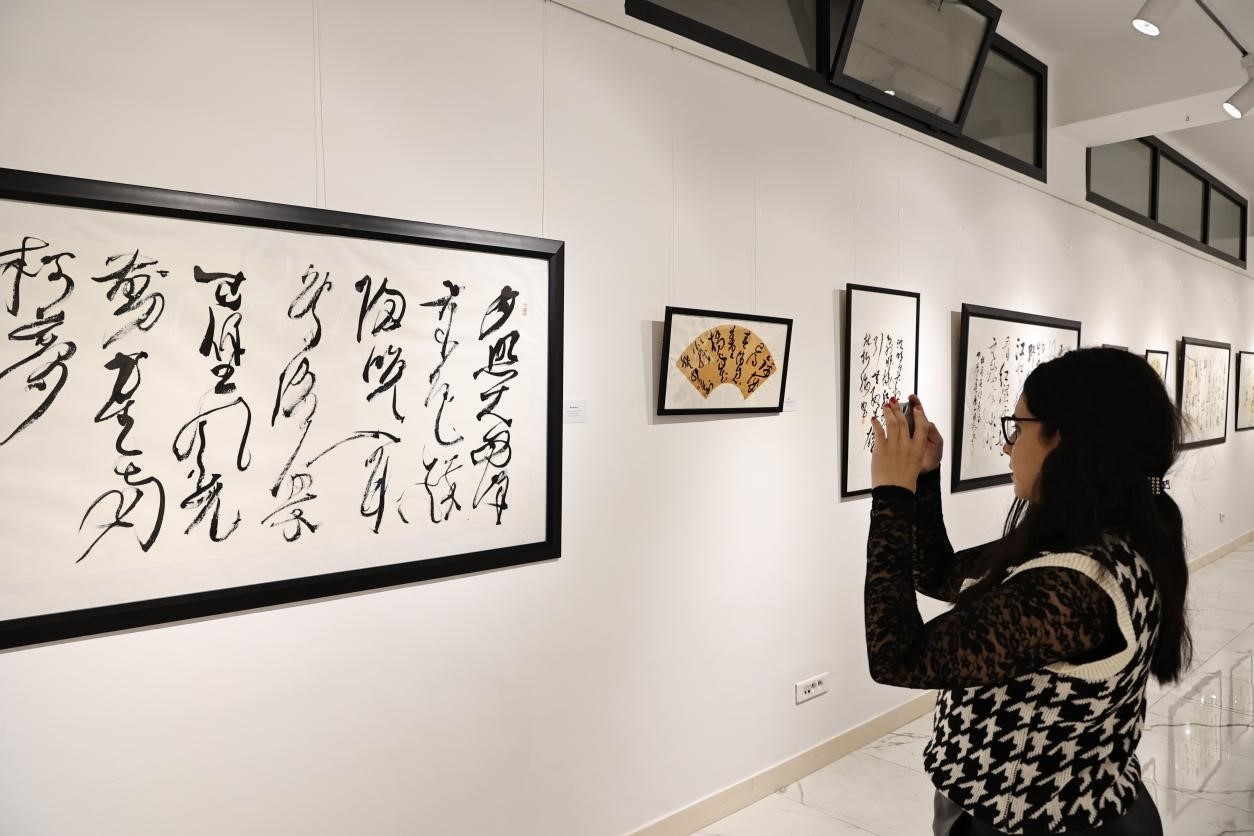 觀眾參觀書法展。拉巴特中國文化中心供圖