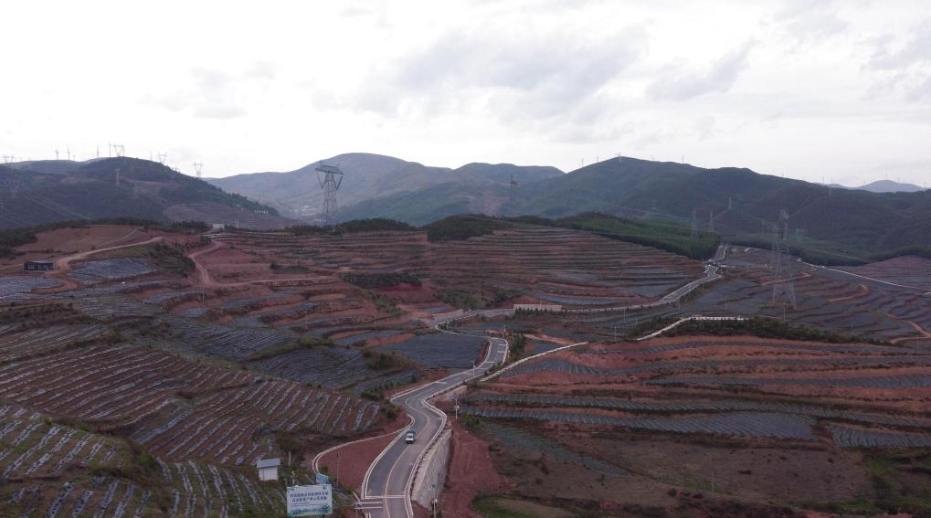 火普村的藍莓基地一角（無人機照片）。新華社記者 尹恒 攝
