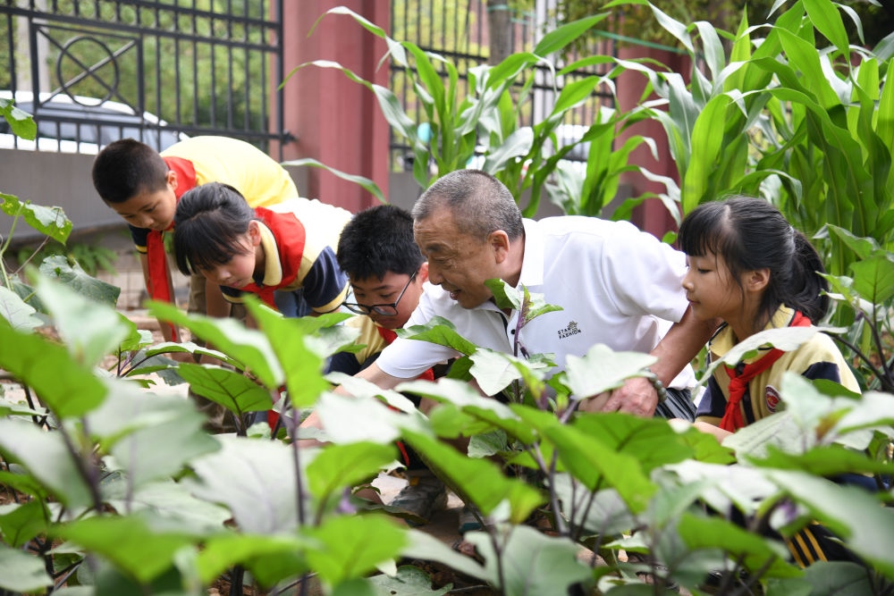 5月31日，老師帶領(lǐng)學(xué)生在之江小學(xué)勞動(dòng)實(shí)踐基地學(xué)習(xí)蔬菜知識(shí)。新華社記者 胥冰潔 攝