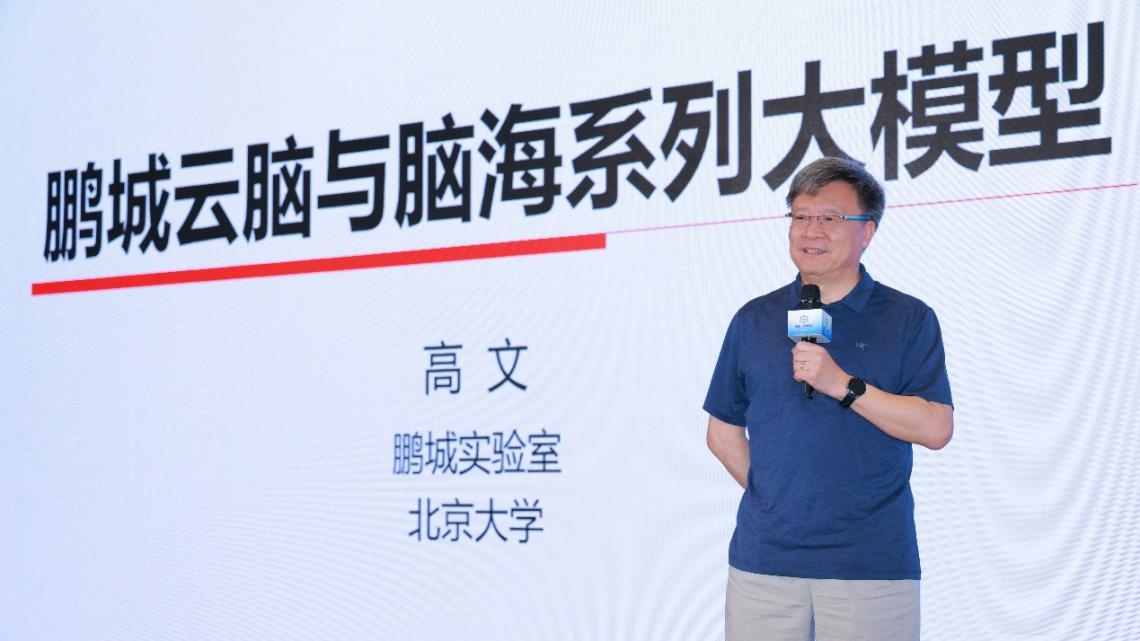 高文院士做大會(huì)特邀報(bào)告。主辦方供圖