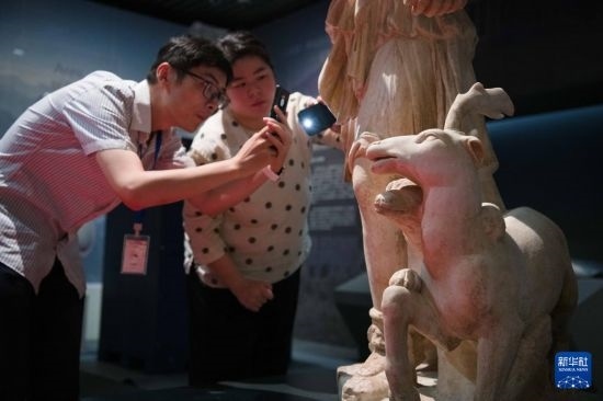 7月2日，安徽博物院工作人員在拍攝開箱后的古希臘文物。新華社記者 張端 攝
