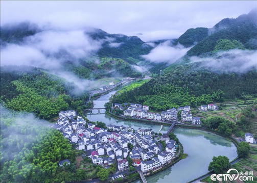 2024年6月19日，浙江省杭州市淳安縣楓樹嶺鎮(zhèn)下姜村，雨后云霧繚繞。