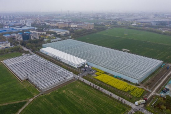 2024年3月28日，空中俯瞰嘉興南湖區(qū)湘家蕩農(nóng)業(yè)數(shù)字化工廠（無人機照片）。該農(nóng)業(yè)數(shù)字化工廠占地總面積約62畝，包含智慧農(nóng)業(yè)生產(chǎn)、物聯(lián)網(wǎng)智能管理、自動分揀包裝、保鮮儲藏物流、高科技示范展示等五大功能區(qū)，可直接或間接培養(yǎng)帶動新型職業(yè)技術農(nóng)民500人以上。新華社記者 徐昱 攝
