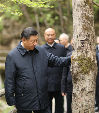 2020年4月，習(xí)近平總書記來到位于商洛市柞水縣的秦嶺牛背梁國家級(jí)自然保護(hù)區(qū)，考察秦嶺生態(tài)保護(hù)情況。新華社記者 鞠鵬 攝