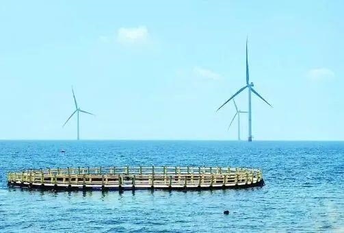 △山東萊州風電項目實現(xiàn)了海上風電和海洋牧場融合發(fā)展。
