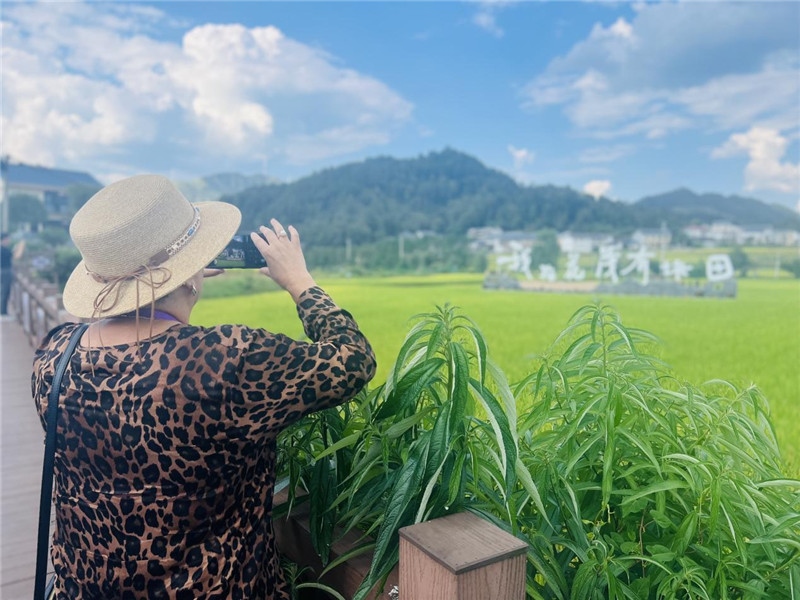 “我在花茂有塊田”，不僅是中國人的詩和遠方，也是塔吉克斯坦“阿維斯塔”通訊社總編輯占納特洪·庫爾班諾娃的“烏托邦”。（張亞欣攝）