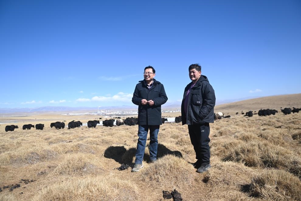 2023年2月24日，在青海省海北藏族自治州海晏縣青海湖鄉(xiāng)達(dá)玉日秀村，全國人大代表董全民（左）查看牧民東知布家的草場。新華社記者 張龍 攝