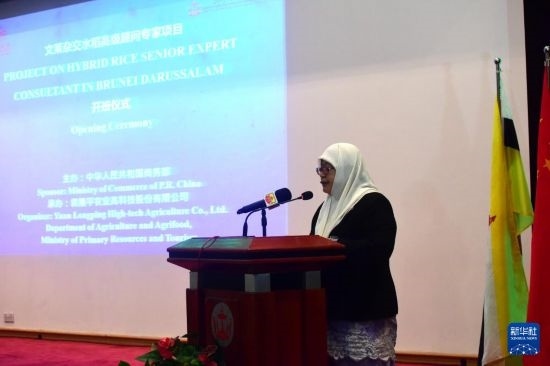 10月26日，文萊初級資源與旅游部常任秘書圖蒂亞蒂在斯里巴加灣市出席中國與文萊雜交水稻高級專家顧問項目啟動儀式。新華社記者 李萌 攝