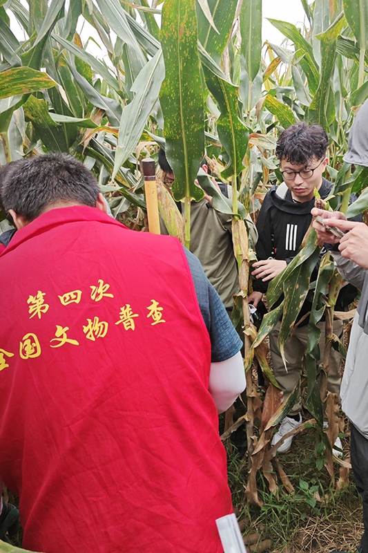 普查隊員正在使用探鏟進(jìn)行探測。中國文物報供圖