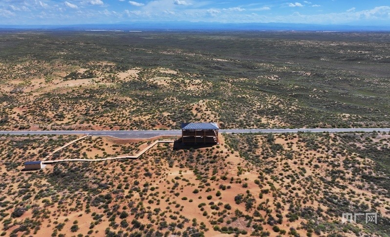 古浪縣一代代人治沙不息，讓綠色向沙漠深處不斷延伸（央廣網(wǎng)記者 李紅軍 攝）