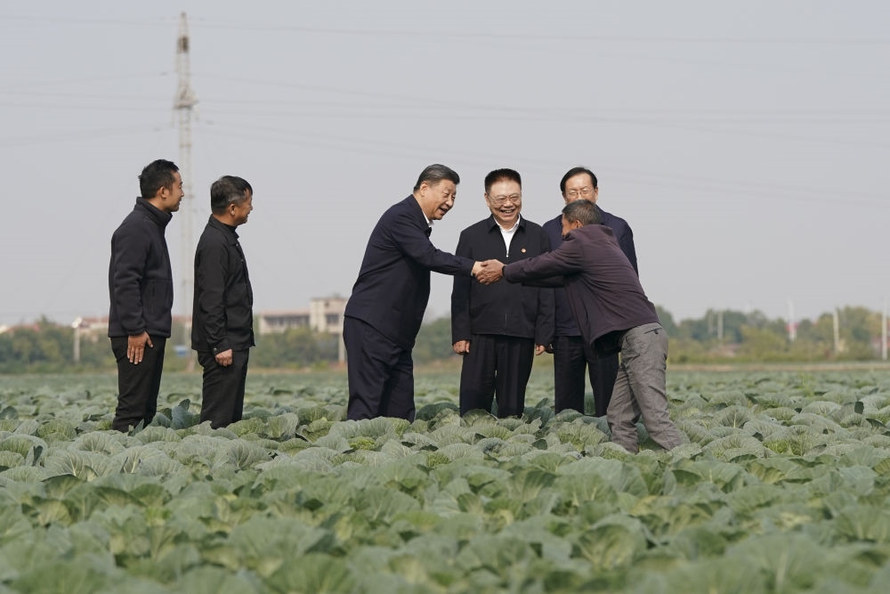 2024年11月5日，習近平在咸寧市嘉魚縣潘家灣鎮(zhèn)十里蔬菜長廊考察時，同菜農(nóng)親切交流。