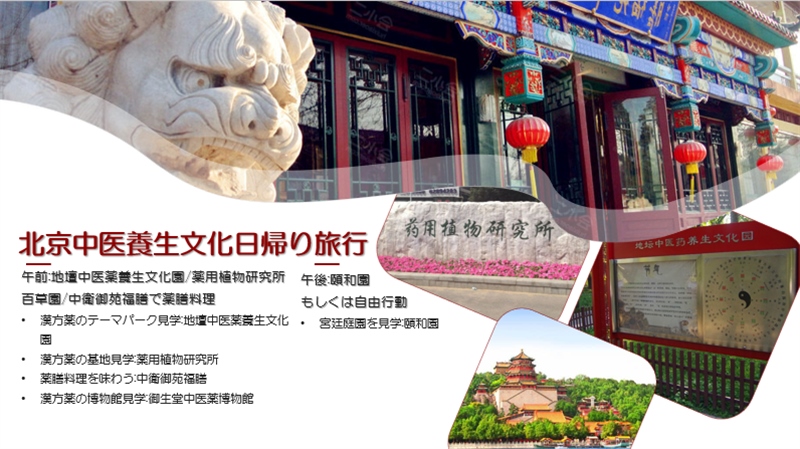 “你好！中國·休閑旅游—中國旅游說明會”宣講材料。中國駐東京旅游辦事處供圖