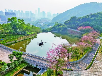 無人機在深圳塘朗山郊野公園里巡檢。新華社發(fā)
