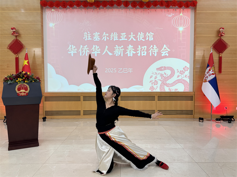 招待會(huì)現(xiàn)場(chǎng)表演。諾維薩德孔子學(xué)院供圖