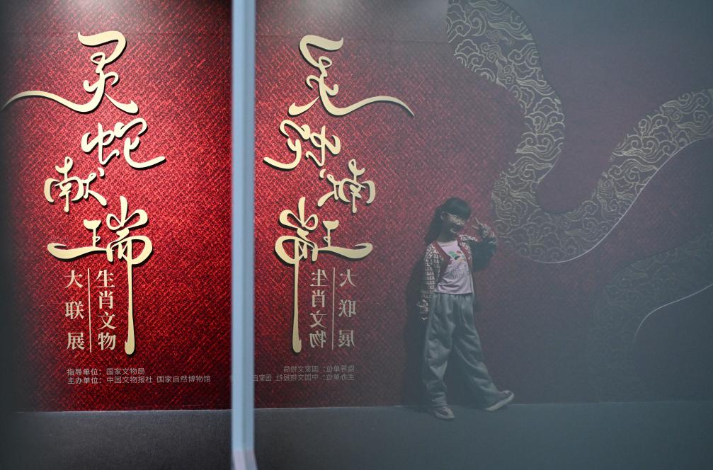 1月18日，一名小朋友在國(guó)家自然博物館舉辦的“靈蛇獻(xiàn)瑞——2025乙巳蛇年生肖文物大聯(lián)展”展覽中拍照留念。（新華社記者 陳鐘昊 攝）