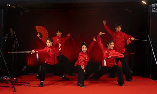 武術(shù)表演。中國駐芬蘭大使館供圖