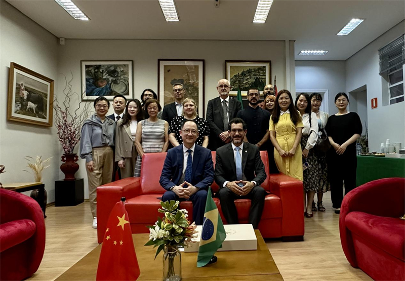 圖為參加座談會的來賓合影留念。 圣保羅州立大學(xué)孔子學(xué)院供圖