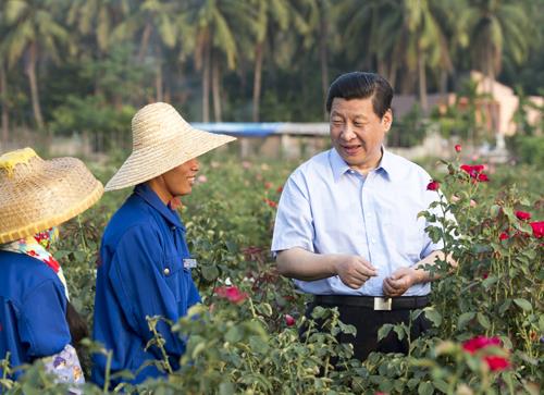 △2013年4月9日，習(xí)近平總書記在海南亞龍灣蘭德玫瑰風(fēng)情產(chǎn)業(yè)園向花農(nóng)了解玫瑰種植管理技術(shù)。