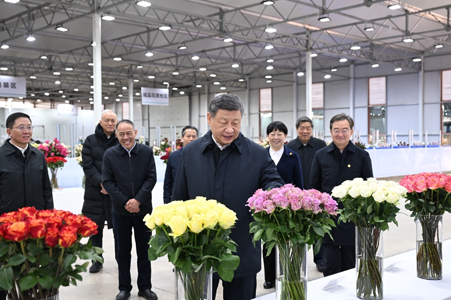 △3月19日下午，習(xí)近平總書記在云南麗江現(xiàn)代花卉產(chǎn)業(yè)園展廳考察時(shí)，察看鮮切花品種展示。