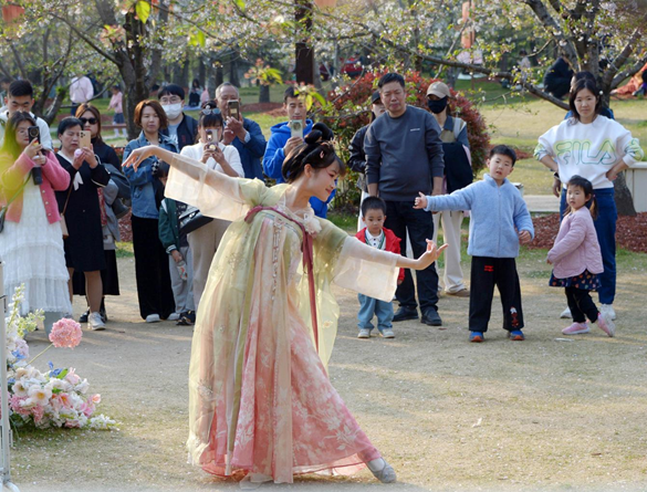 清明假期期間，上海顧村公園櫻花島上，游客在觀賞國風(fēng)漢服快閃表演。（圖片來源：視覺中國）
