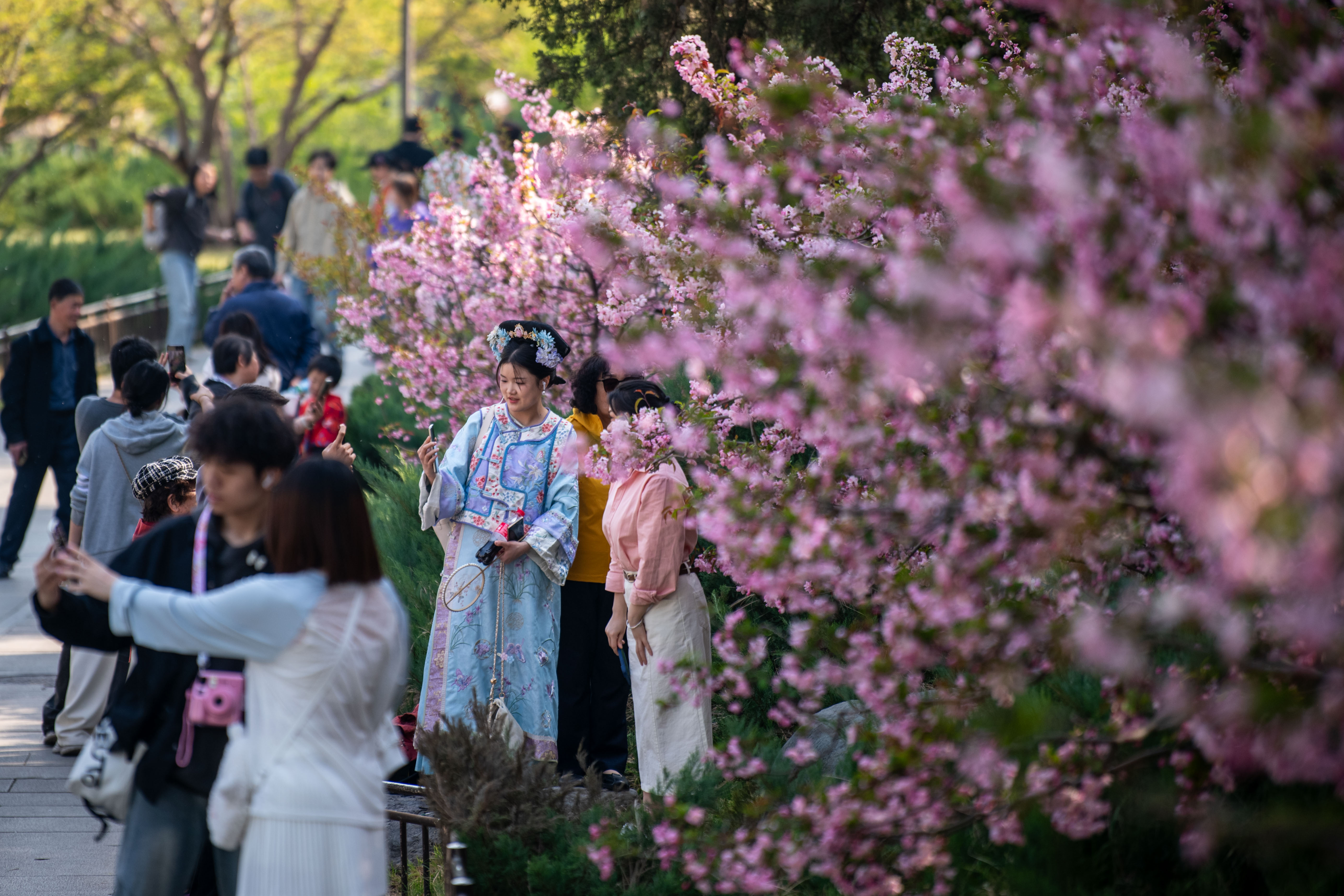 2025年4月6日，北京北海公園，滿園春色醉游人。人民網(wǎng)記者 翁奇羽攝