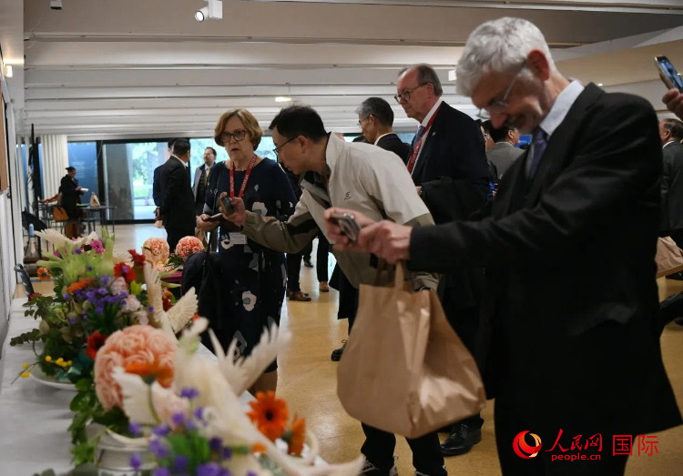 聯(lián)合國中文日慶?；顒蝇F場。人民網記者 于超凡攝