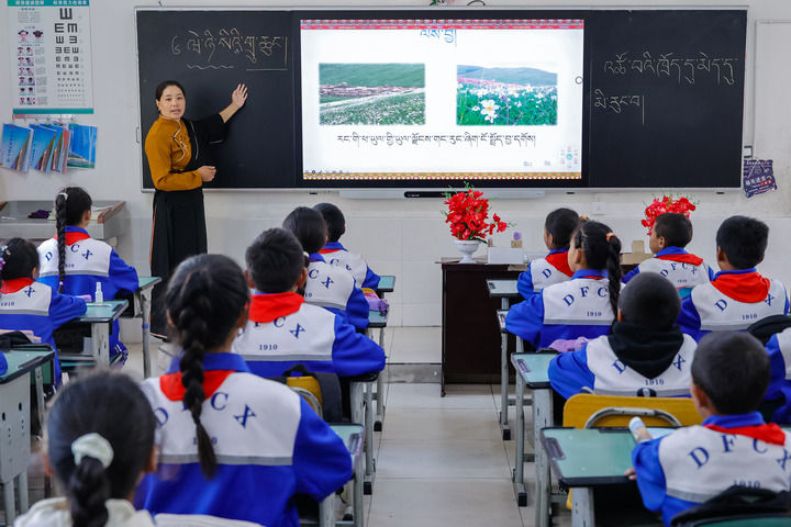 2024年9月27日，在四川省甘孜藏族自治州道孚縣城關第一完全小學，采取“藏加模式”教學的五年級一班的藏語文課上，準木周老師指導藏族學生以家鄉(xiāng)草原風物為主題寫作藏語文作文。新華社記者 沈伯韓 攝
